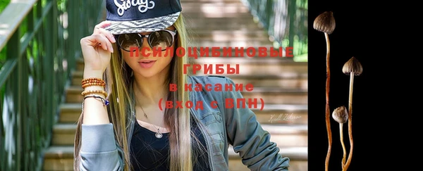 прущая мука Вяземский