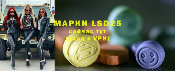 прущая мука Вяземский