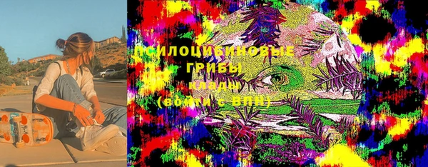 прущая мука Вяземский