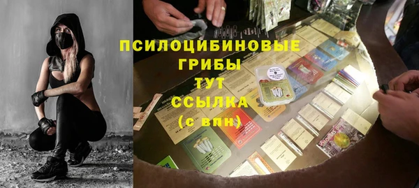 прущая мука Вяземский